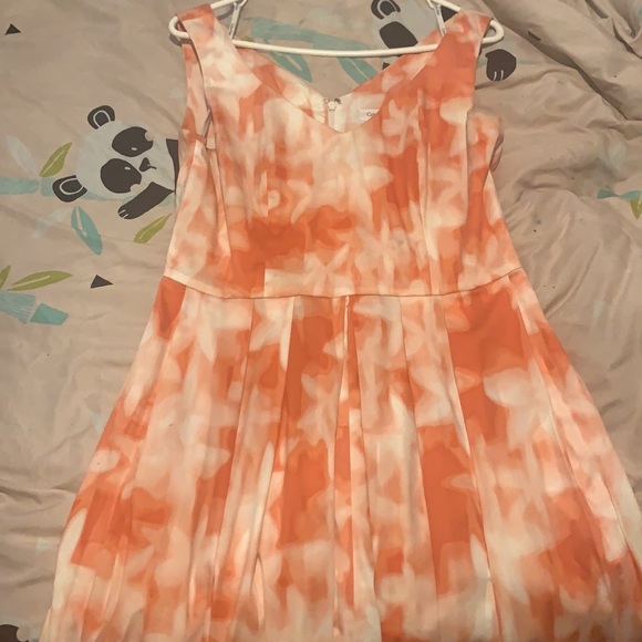 Cute Spring Time Dress - Picture 3 of 5